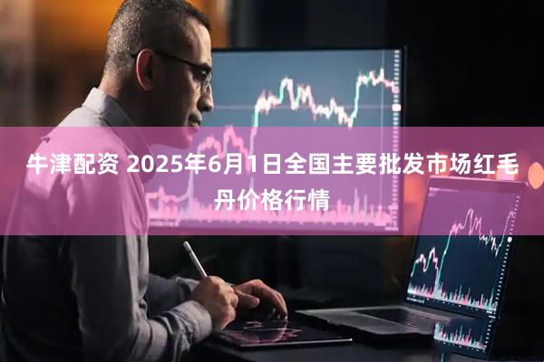 牛津配资 2025年6月1日全国主要批发市场红毛丹价格行情