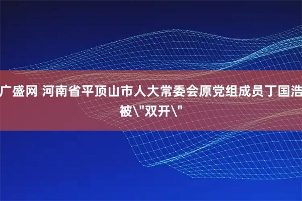 广盛网 河南省平顶山市人大常委会原党组成员丁国浩被