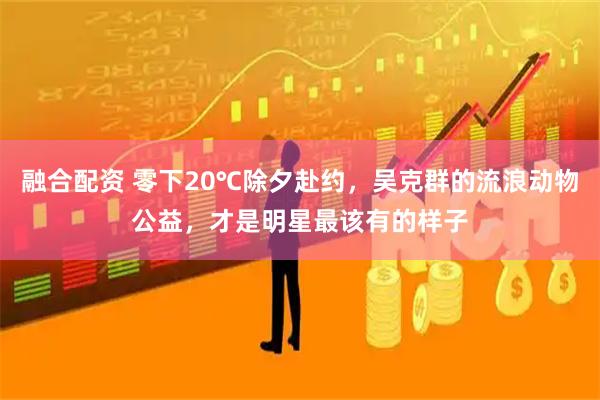 融合配资 零下20℃除夕赴约，吴克群的流浪动物公益，才是明星最该有的样子